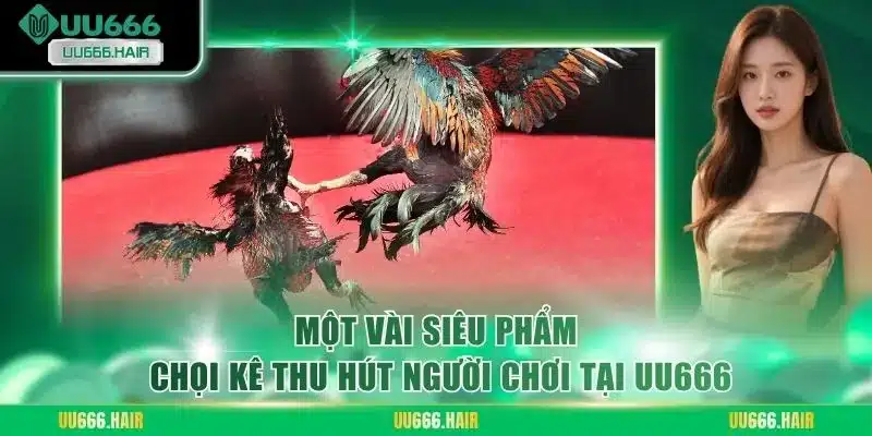 Một vài siêu phẩm chọi kê thu hút người chơi tại UU666